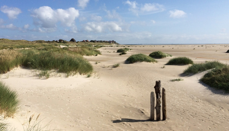 Amrum Dünen