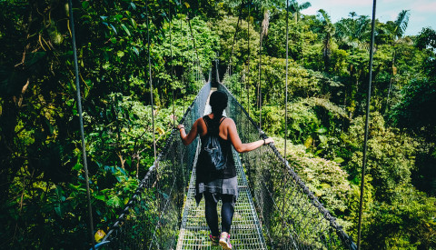 Urwald Hängebrücke