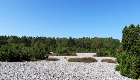 Feuersteinfelder Rügen