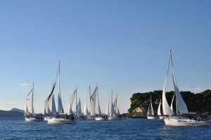 Segelregatte AMS-Cup in Kroatien