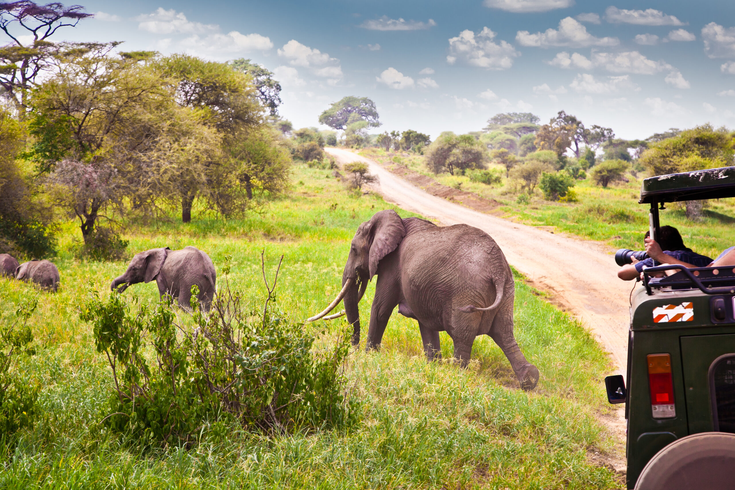 safari afrika reisen