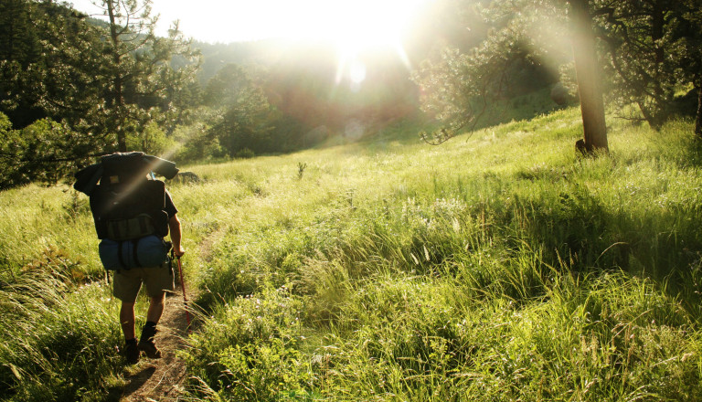 Wanderweg Wiese